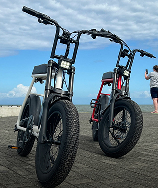 @ mario_ebike
