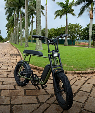 @ mario_ebike