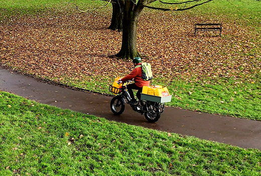The-E-Bike-Will-Not-Let-You-Down