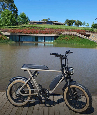 @ mario_ebike