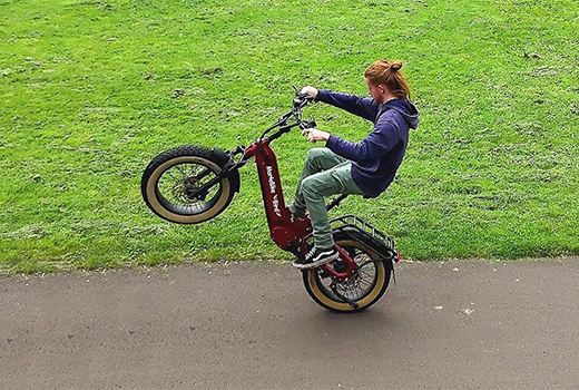 Bird-Bike-From-Mario-Ebike